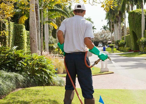 About Beaumont MS Pest Control